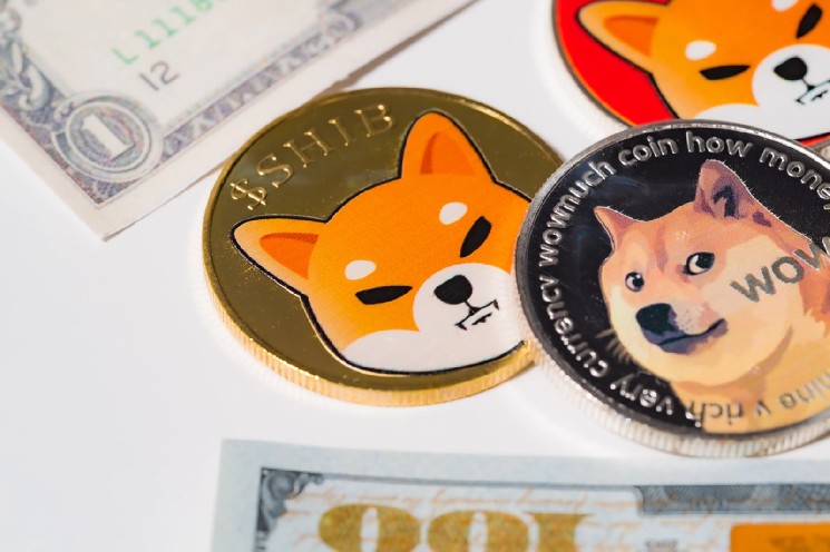 +128٪ در Shiba Inu (SHIB) جریان نقطه ای واضح است: خریداران بازگشته اند