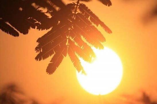 پیشبینی خاک و روند افزایشی دما برای خوزستان