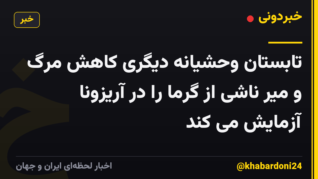 تابستان وحشیانه دیگری کاهش مرگ و میر ناشی از گرما را در آریزونا آزمایش می کند