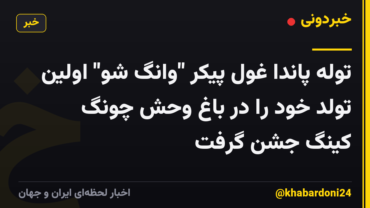 توله پاندا غول پیکر "وانگ شو" اولین تولد خود را در باغ وحش چونگ کینگ جشن گرفت