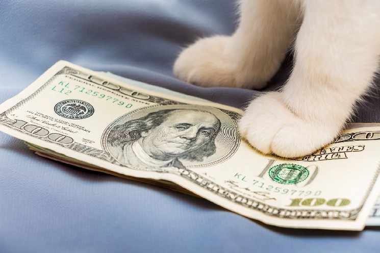از 0.19 دلار تا 0.08 دلار: چرا توکن CashCat ویروسی 60٪ دچار خرابی Flash شد؟