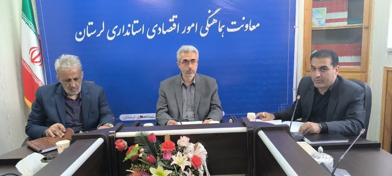 تأکید معاون استاندار لرستان بر تسهیل فرآیند تأمین مالی و رفع محدودیتهای اداری برای حمایت