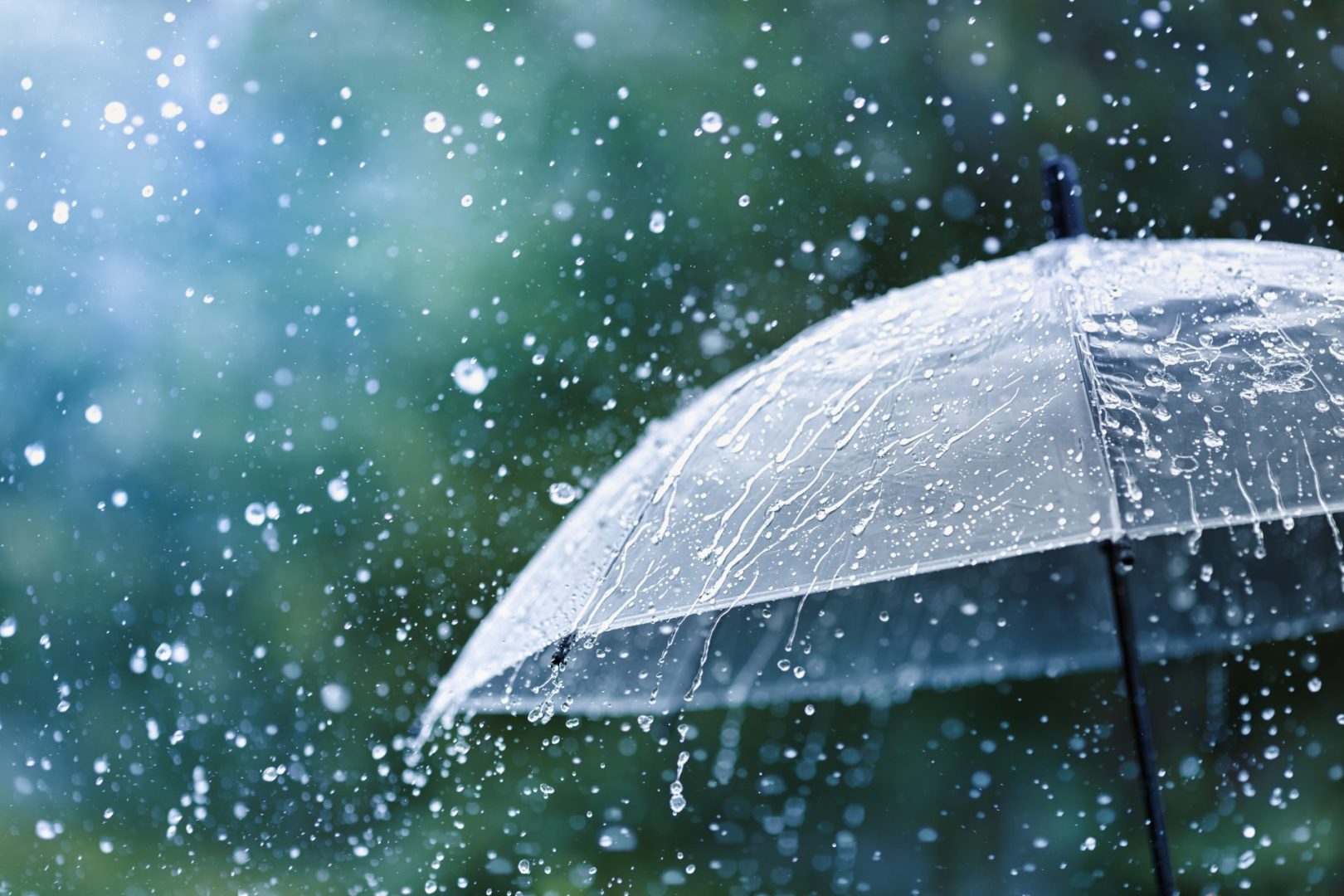 Old Farmer's Almanac پیش بینی جسورانه پاییز سال 2026 را نشان می دهد