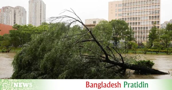 طوفان باوی پس از سقوط در شرق چین ضعیف شد - en.bd-pratidin.com