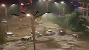 سرگردانی خودرو‌ها در سیل ویرانگر شمال‌شرق چین + فیلم