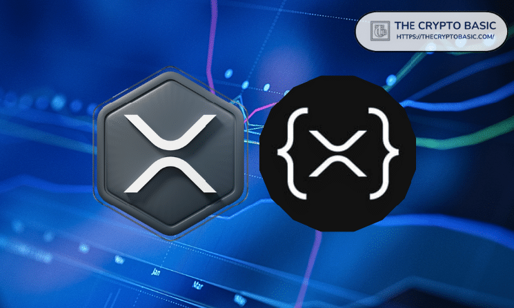 فعالیت بیشتر برنامه نویس در XRP Ledger با افزایش تراکنش های مرتبط با برنامه