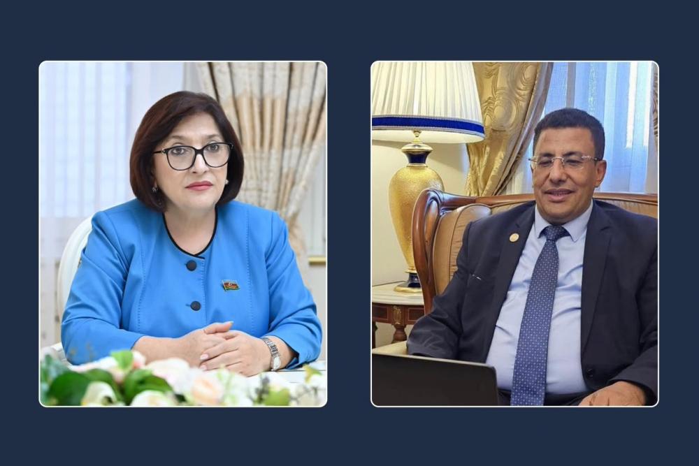 رئیس پارلمان آذربایجان با رئیس پارلمان پان آفریقا گفتگو کرد