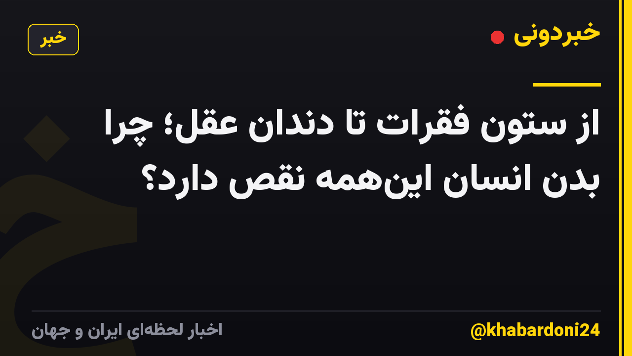 از ستون فقرات تا دندان عقل؛ چرا بدن انسان اینهمه نقص دارد؟