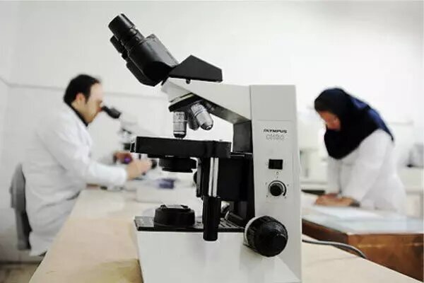 تأکید بر جذب پژوهشگر پسا دکتری و توسعه راهبردی در دانشگاه سیستان و بلوچستان