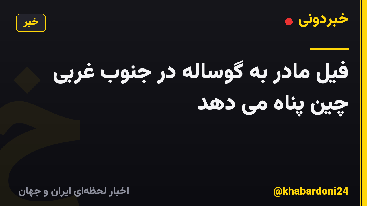 فیل مادر به گوساله در جنوب غربی چین پناه می دهد