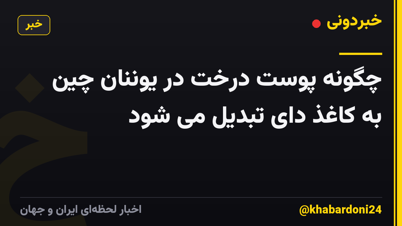 چگونه پوست درخت در یوننان چین به کاغذ دای تبدیل می شود