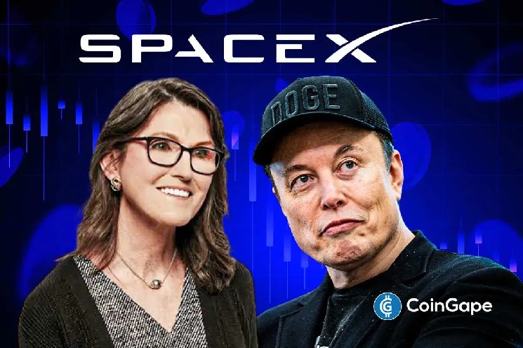 کتی وود با وجود هشدار متخصصان درباره حباب هوش مصنوعی، سهام SpaceX را خرید