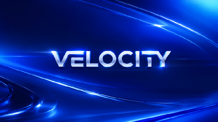 Dragonfly و FirstMark 38 میلیون دلار سری A برای استیبل کوین Velocity پیشتاز هستند