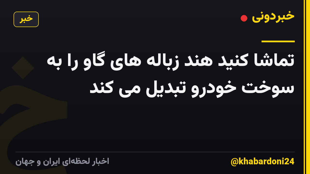 تماشا کنید هند زباله های گاو را به سوخت خودرو تبدیل می کند