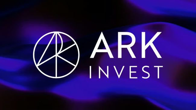 Ark Invest در حالی که Robinhood را می فروشد 14 میلیون دلار در سهام Circle اضافه می کند