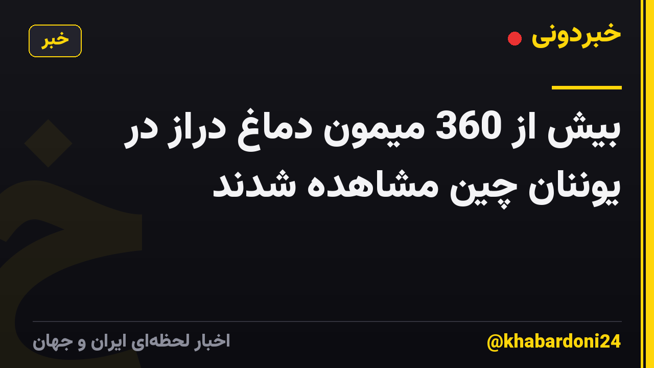بیش از 360 میمون دماغ دراز در یوننان چین مشاهده شدند