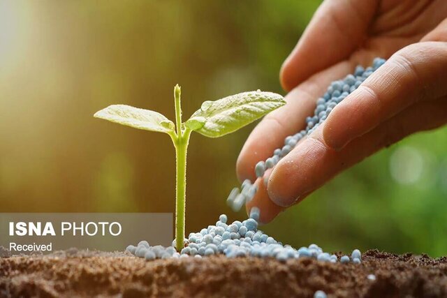 توزیع ۵۲ هزار تُن کود کشاورزی برای حمایت از گندمکاران همدان
