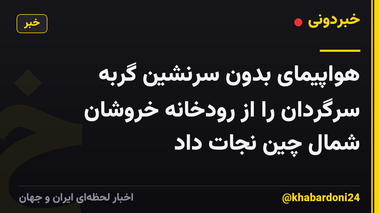 هواپیمای بدون سرنشین گربه سرگردان را از رودخانه خروشان شمال چین نجات داد