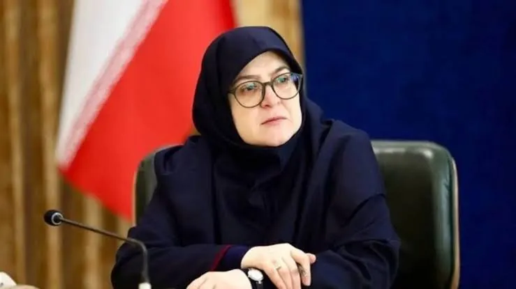 سخنگوی دولت: در حملات اخیر به جنوب کشور، بیش از ۳۰ شهروند به شهادت رسیدند