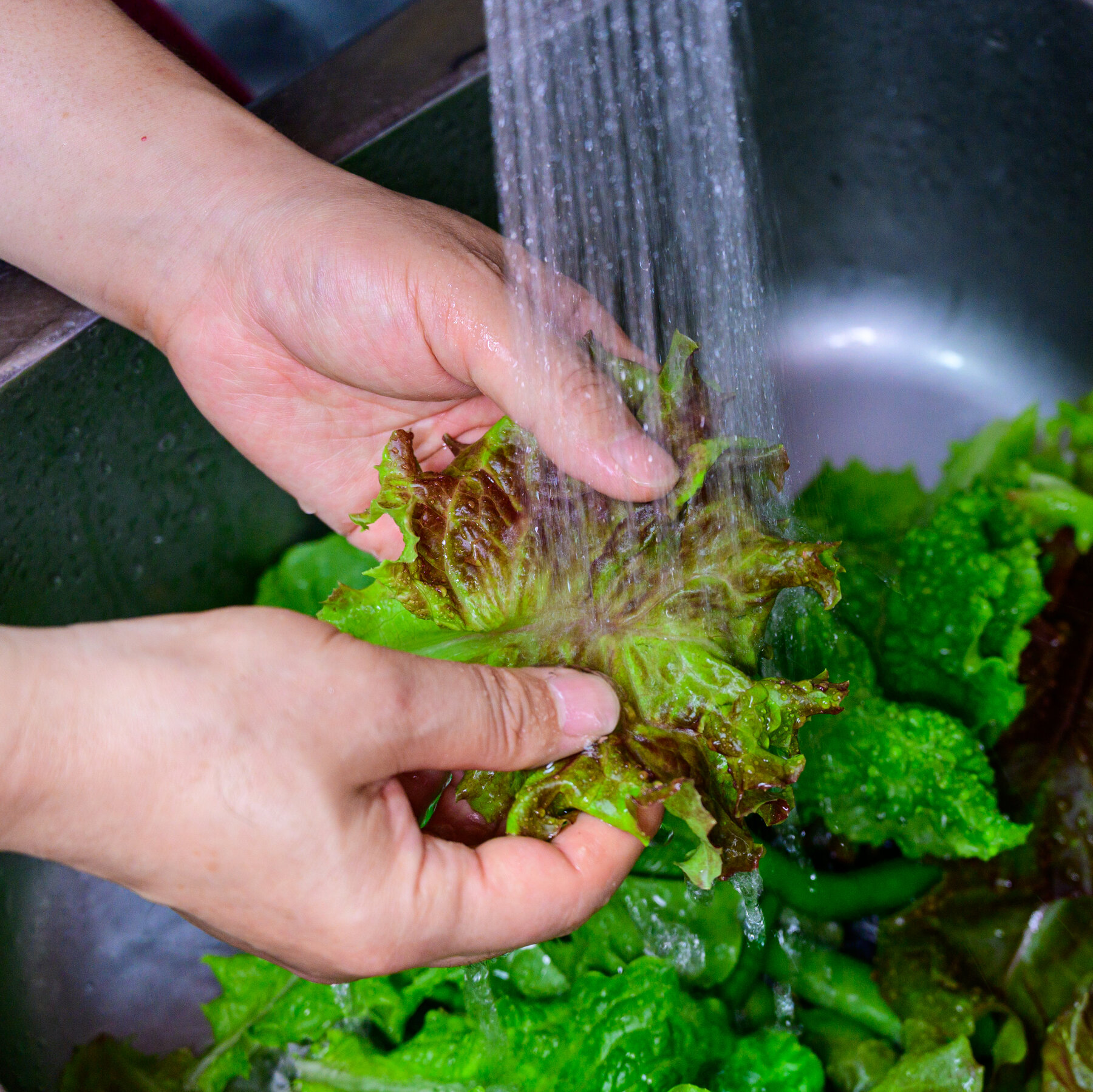 موارد Cyclospora به سرعت افزایش می یابد، بدون اینکه منبعی هنوز تایید نشده است