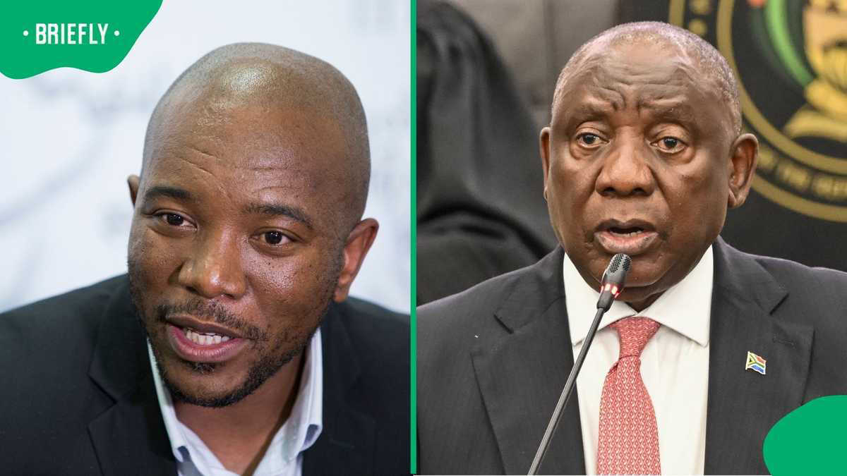 Mmusi Maimane از Cyril Ramaphosa پس از ویدئوی جنجالی با تاجر زیمبابوه ای سوال می کند