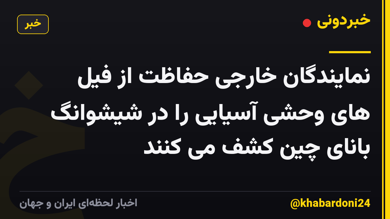 نمایندگان خارجی حفاظت از فیل های وحشی آسیایی را در شیشوانگ بانای چین کشف می کنند