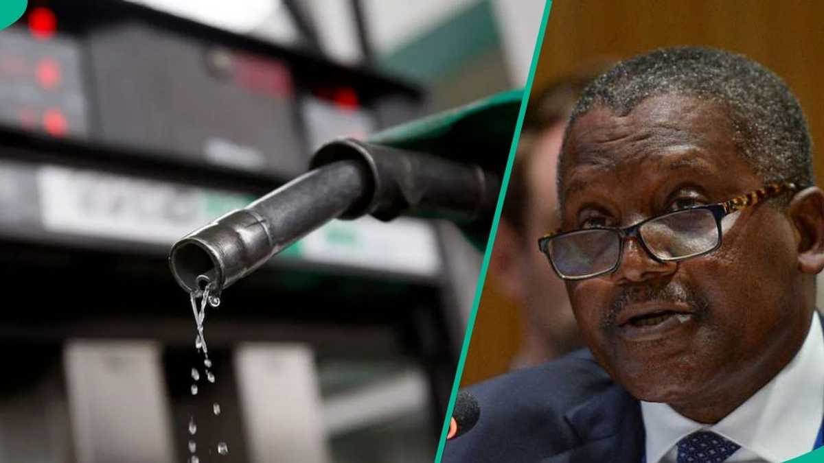 دیگر N1,120 وجود ندارد: Dangote قیمت های جدید بنزین را تأیید می کند زیرا بازاریابان نرخ ها را تنظیم می کنند