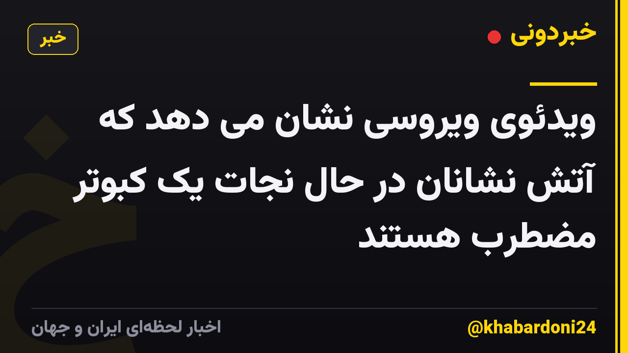 ویدئوی ویروسی نشان می دهد که آتش نشانان در حال نجات یک کبوتر مضطرب هستند