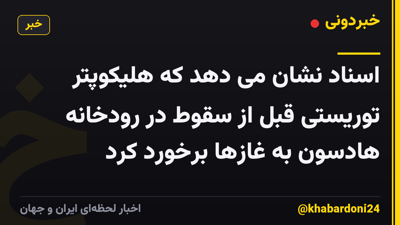 اسناد نشان می دهد که هلیکوپتر توریستی قبل از سقوط در رودخانه هادسون به غازها برخورد کرد