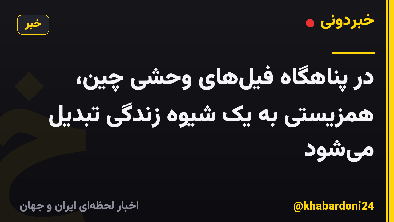 در پناهگاه فیلهای وحشی چین، همزیستی به یک شیوه زندگی تبدیل میشود