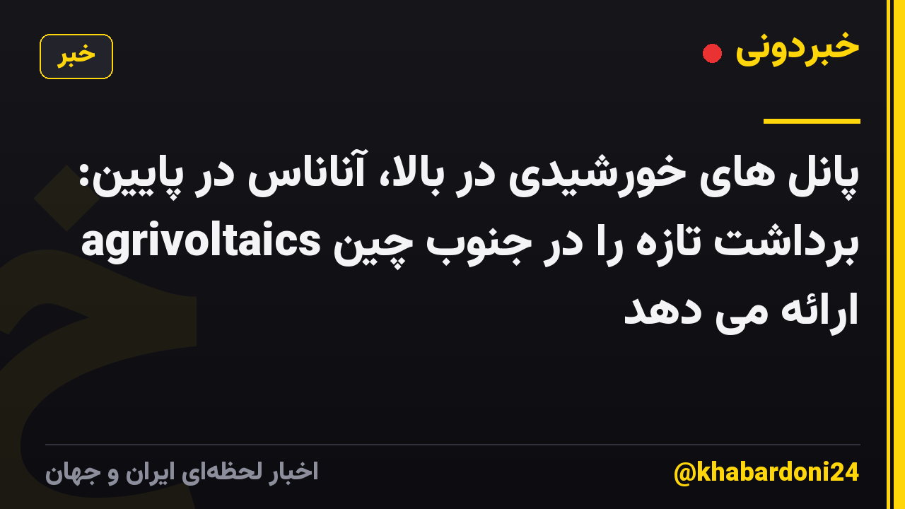 پانل های خورشیدی در بالا، آناناس در پایین: agrivoltaics برداشت تازه را در جنوب چین ارائه می دهد