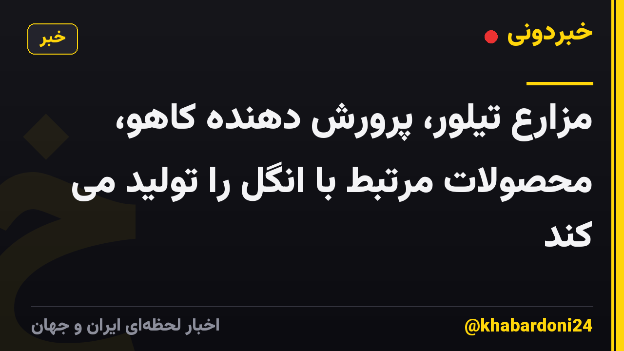 مزارع تیلور، پرورش دهنده کاهو، محصولات مرتبط با انگل را تولید می کند
