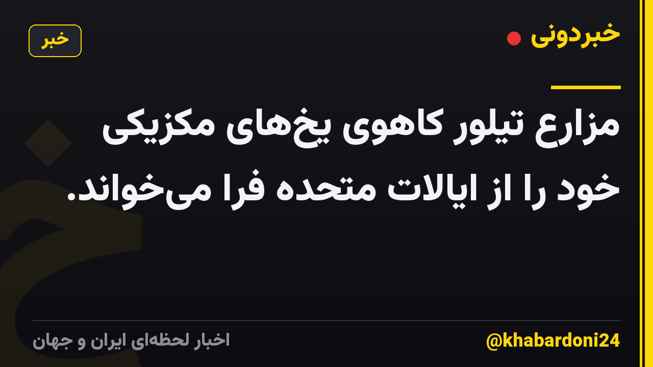 مزارع تیلور کاهوی یخهای مکزیکی خود را از ایالات متحده فرا میخواند.