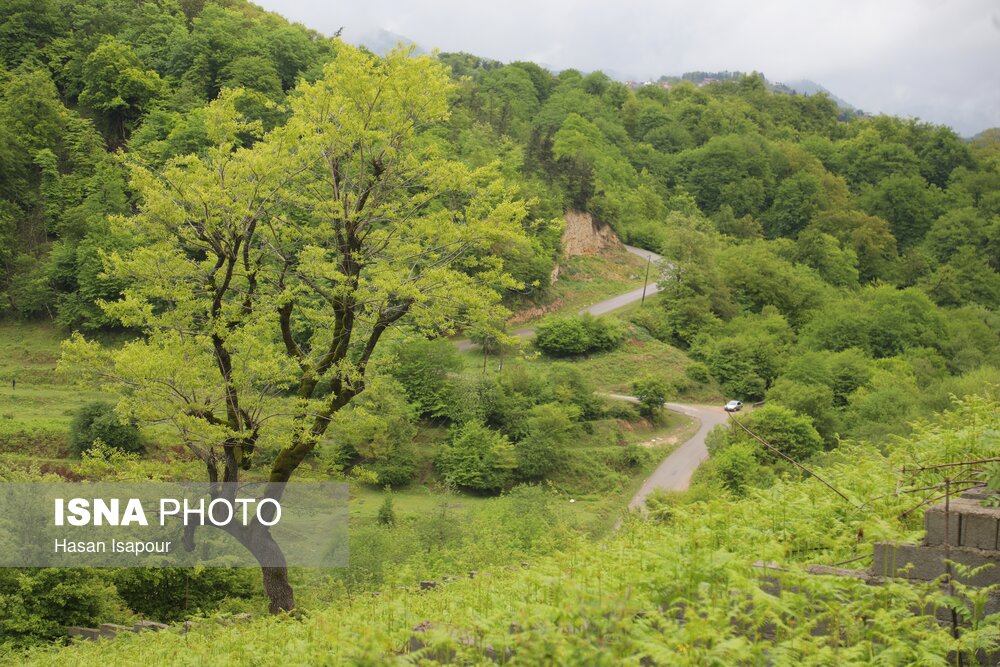 استقرار سیستم‌های پایش پیشرفته مناطق تحت مدیریت لرستان