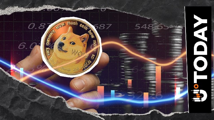 0 دلار در شورت DOGE در 12 ساعت منحل شد: خرس ها کجا رفتند؟