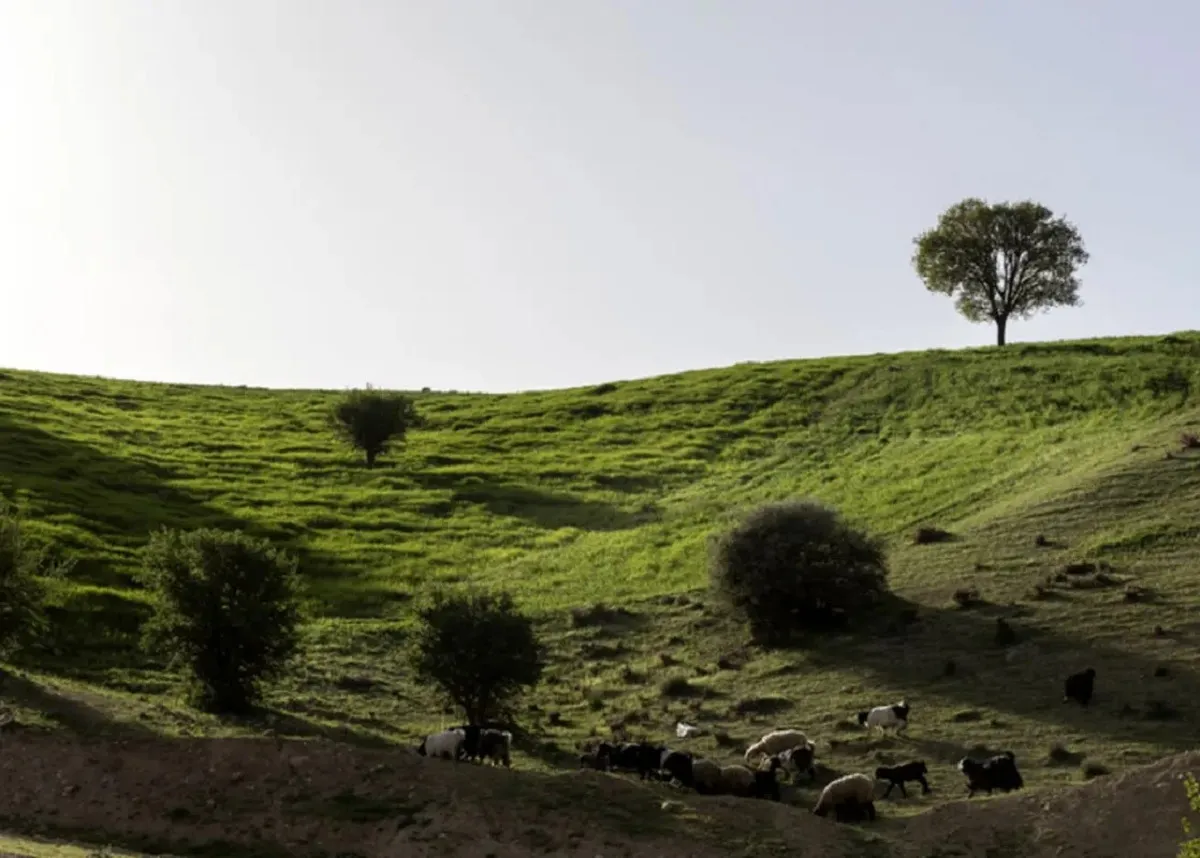 مشایخ؛ دهستانی بکر که طبیعت در آن نفس میکشد(+عکس)