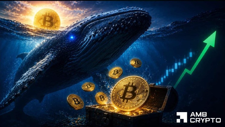 ارزیابی حرکت جانبی بیت کوین به دلیل بارگیری مجدد نهنگ 290 میلیون دلاری BTC