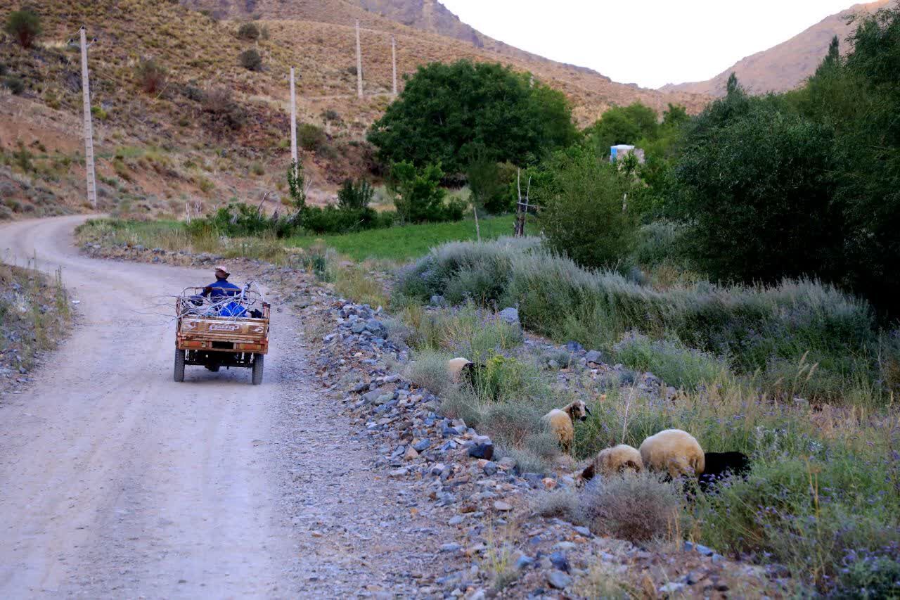 فیلم | پَستوی گردشگری کرمان؛ واقعیتهای پنهانِ دهستان «گروه» (بخش نخست)