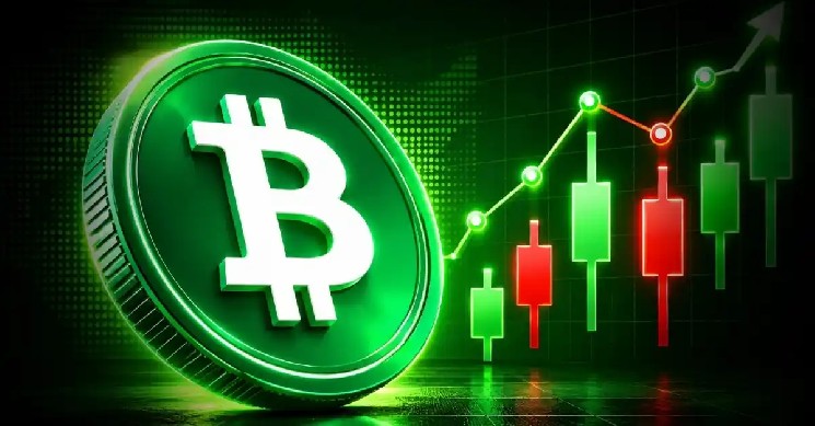 قیمت بیت کوین به تازگی وارد منطقه ای شده است که قبلاً بازده 7500 درصدی داشته است