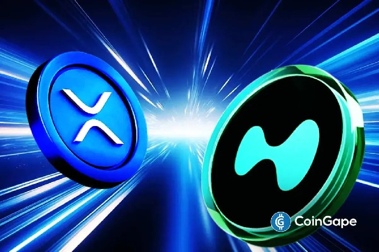 XRP با بهره باز از HYPE پیشی گرفت و در میان سود سازمانی تجدید شده به 2.60 میلیارد دلار رسید