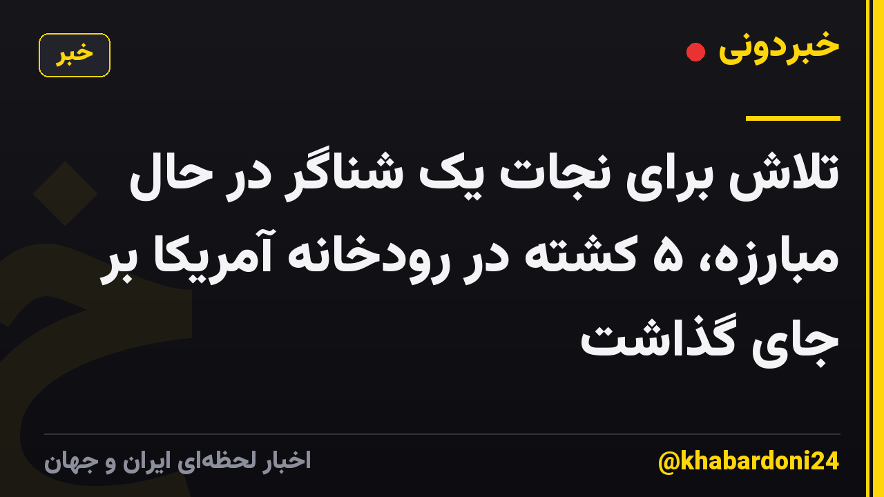 تلاش برای نجات یک شناگر در حال مبارزه، ۵ کشته در رودخانه آمریکا بر جای گذاشت