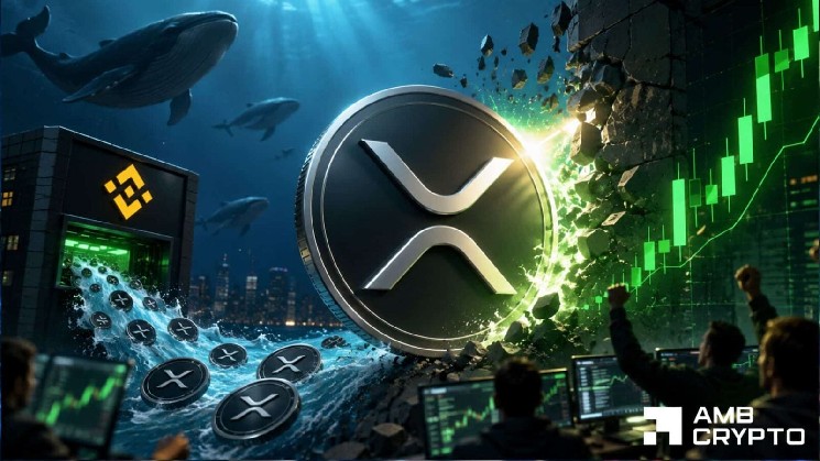 نهنگ های XRP فروش خود را متوقف می کنند، گاوهای نر انباشته می شوند – چرا باید سطح 1.18 دلار را زیر نظر داشته باشید