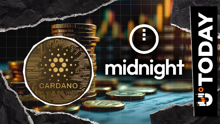 به روز رسانی 515 میلیون NIGHT اکسپلویت: 7 صرافی بزرگ وجوه دزدیده شده را برای شبکه حریم خصوصی Cardano قفل کردند