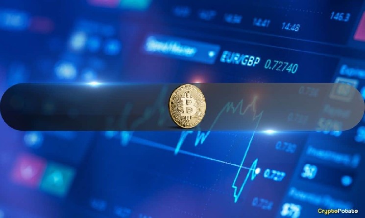 بازار نقطه ای بیت کوین کساد باقی می ماند، اما مشتقات داستان متفاوتی را بیان می کنند