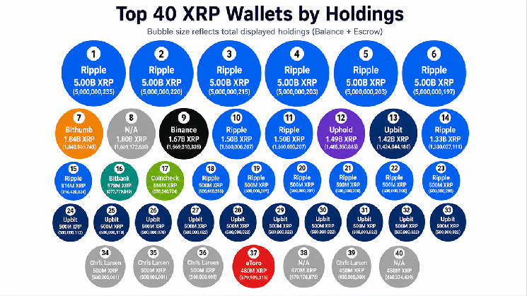 55.84 میلیارد XRP در 40 کیف پول برتر ظاهر می شود، اما Escrow تصویر را تغییر می دهد