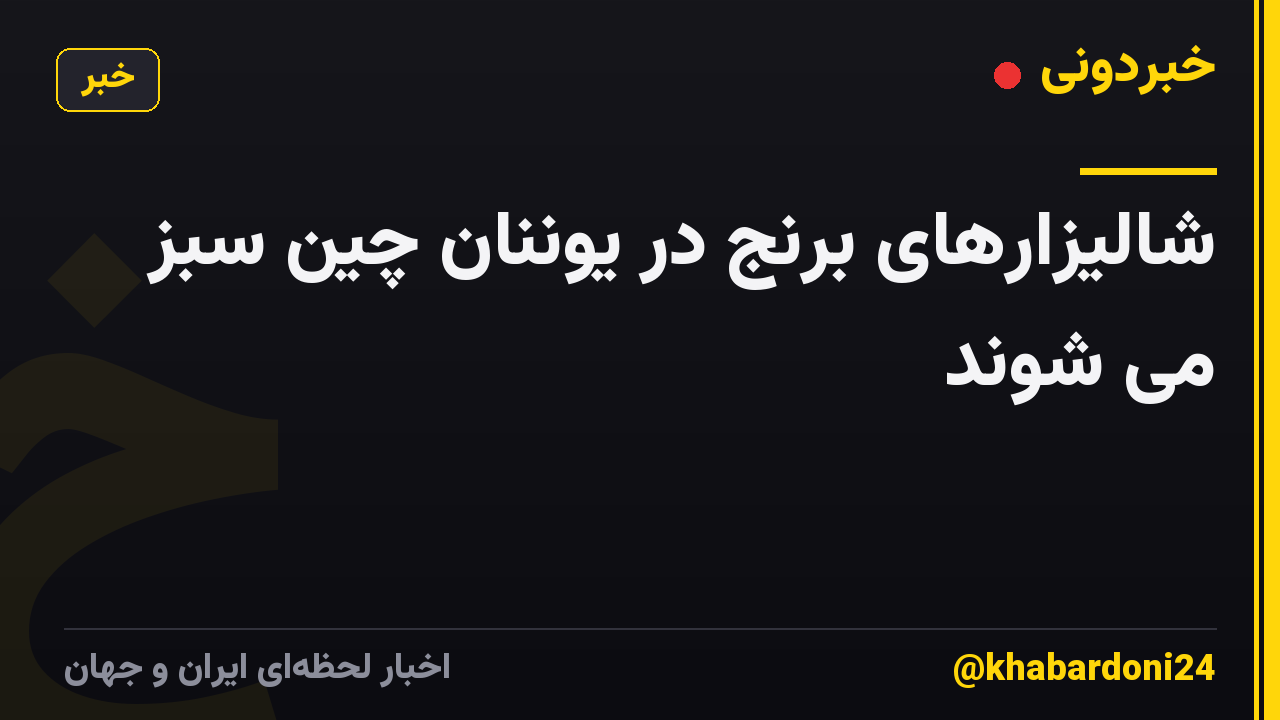 شالیزارهای برنج در یوننان چین سبز می شوند