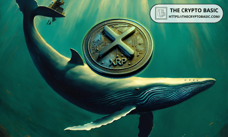 XRP Whales با کاهش فعالیت خردهفروشی، رکورد 77.8 درصد از جریانهای خروجی از مبادلات را به دست میآورد.