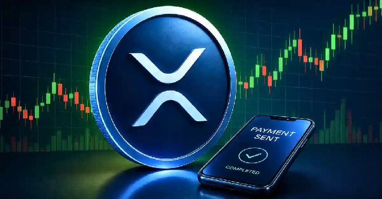 بهروزرسانی فهرست غنی XRP: برای قرار گرفتن در 1% برتر به چه مقدار XRP نیاز دارید؟