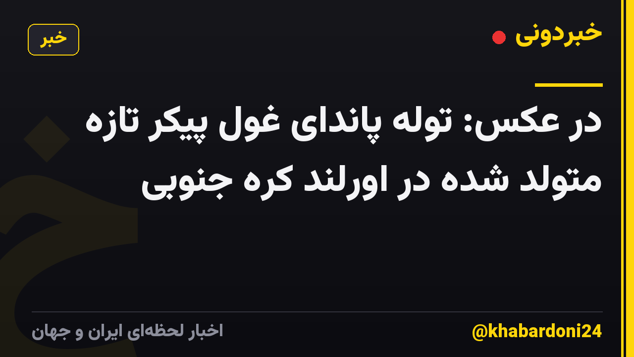 در عکس: توله پاندای غول پیکر تازه متولد شده در اورلند کره جنوبی