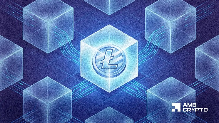 Litecoin's LitVM به 140 میلیون تراکنش شبکه آزمایشی رسید - آیا می تواند جرقه ای برای رشد DeFi LTC ایجاد کند؟